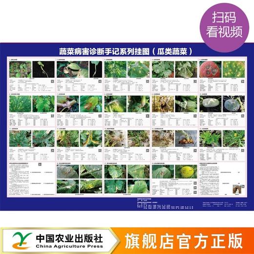 蔬菜病害诊断手记系列挂图（叶菜类、茄果类、瓜菜类、马铃薯）【官方正版，可开发票，下单时留开票信息和电子邮箱】 商品图1