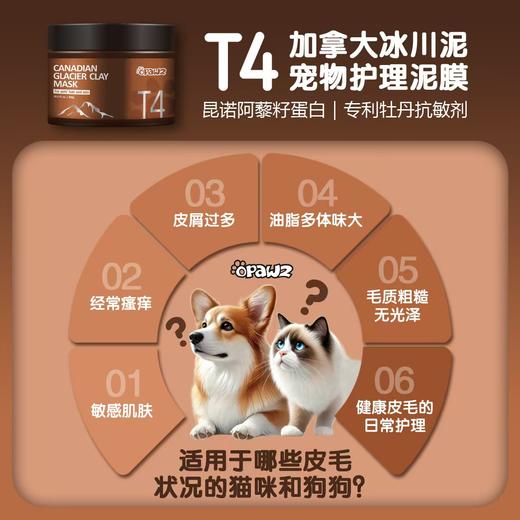 T4 加拿大冰川泥宠物护理泥膜 300g 商品图2
