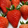 丹东草莓 约700g15枚装 商品缩略图0