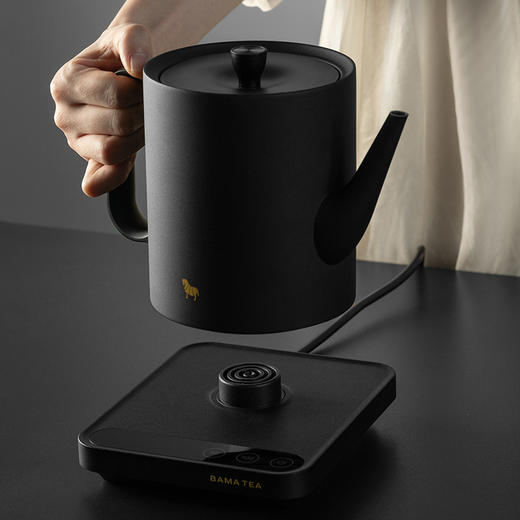 八马茶具 | 八马茗侣烧水壶-复古黑650ml 商品图1