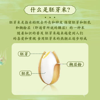 十月稻田 当季新米 胚芽米 3斤 东北大米 杂粮伴侣 粥米 /粮油调味 /米 /胚芽米 商品图4