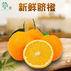 【香甜美味！肉嫩脆甜】新鲜橙子四川脐橙5/9斤新鲜水果现摘爆汁脐橙子10非赣南脐橙果冻橙子，一口爆汁的香甜，果肉细嫩。ry 商品缩略图0