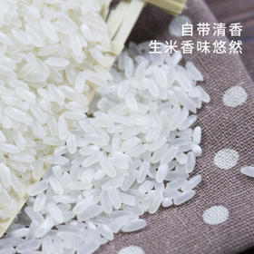 五米常香绿色食品认证 当季新米 五常大米  10斤 真空装 东北大米 /粮油调味 /米 /稻花香米