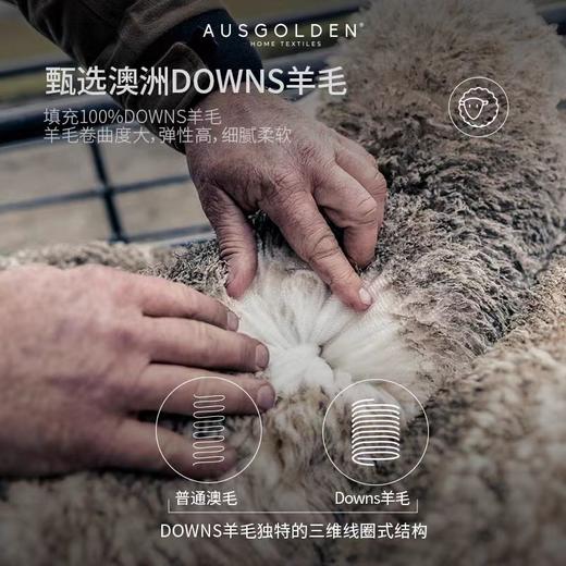 Ausgolden澳洲进口羊毛被100纯羊毛四季通用单人被子冬天加厚保暖 商品图3
