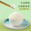 十月稻田 当季新米 胚芽米 3斤 东北大米 杂粮伴侣 粥米 /粮油调味 /米 /胚芽米 商品缩略图2