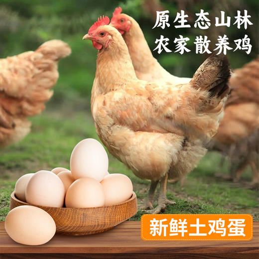 【限自提】农家散养 鲜土鸡蛋 30枚/板 自然散养 商品图4
