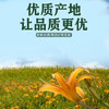 一品爽 黄花菜200g 金针菜干 南北干货 不熏不染山珍特产 火锅食材煲汤 /粮油调味 /南北干货 /干菜类 商品缩略图2