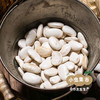高原生态白芸豆 500g/袋 | 合作农友生产，产自云南香格里拉，生产者：李忠青＆【公平贸易农人定价】 商品缩略图3