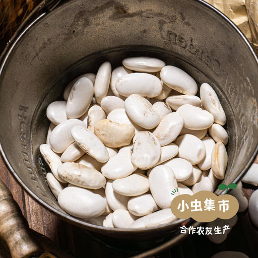 高原生态白芸豆 500g/袋 | 合作农友生产，产自云南香格里拉，生产者：李忠青＆【公平贸易农人定价】 商品图3