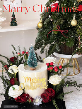 落雪玫瑰许愿池🌹