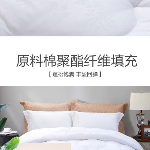 TY富安娜 冬厚被-逸享暖芯被二代【鲜享3.0】 商品图2
