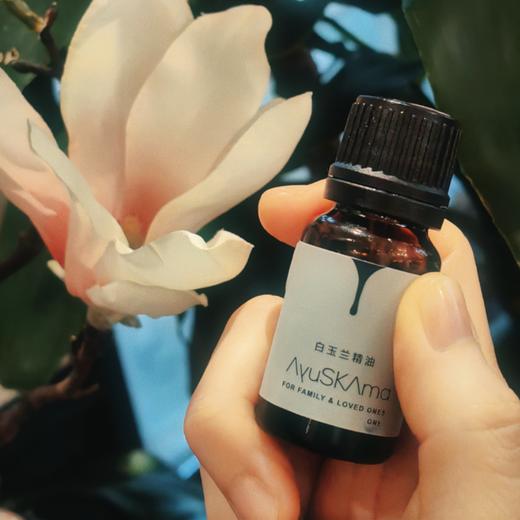 [屁侠.pippa]AyuSKAma 白玉兰精油 10ml 商品图0
