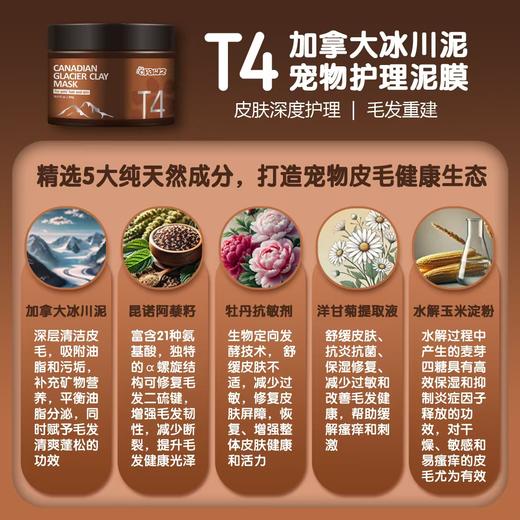T4 加拿大冰川泥宠物护理泥膜 300g 商品图3