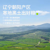 田喜粮鲜有机赤小豆 长粒赤豆  五谷杂粮 东北粗粮 粥米伴侣 薏米搭档450g /粮油调味 /杂粮 /杂豆类 商品缩略图4