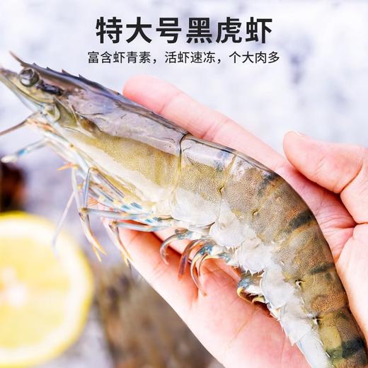 【C】华光海宴特级黑虎虾500g 商品图1