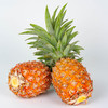 金钻凤梨 商品缩略图4