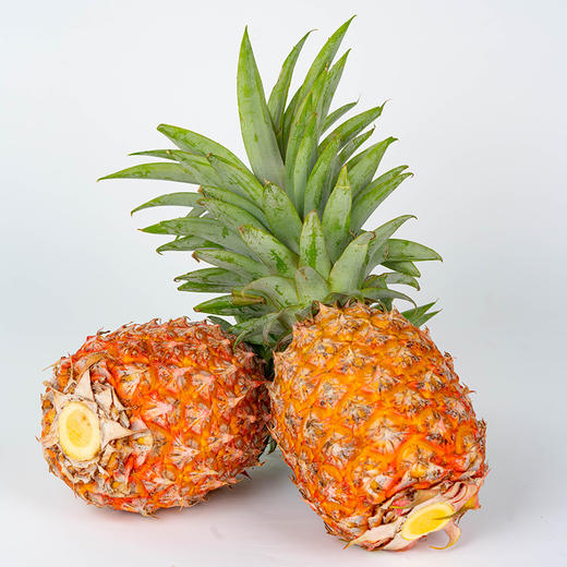 金钻凤梨 商品图4