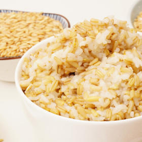 野三坡 燕麦米2斤（麦仁 张家口坝上燕麦米 五谷杂粮 粗粮 瓶装大米 ） /粮油调味 /杂粮 /谷米类