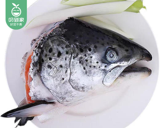 智利三文鱼头（没去腮-半头）/1份（约300g*2个）生产日期 26年3月 商品图5