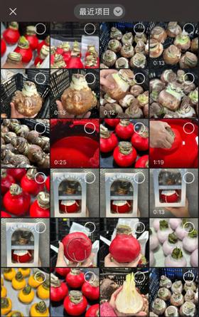 【方友推荐】快来看方方解刨蜡球！发现了什么！