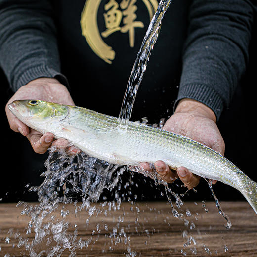 【鲥鱼礼卡】新孟河鲥鱼礼卡 精美礼卡  提货无忧   清水鲥鱼  珍稀鱼种  顺丰速运 商品图4