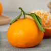 【京东包邮】四川春见耙耙柑 粒粒爆珠 5斤/8斤/12枚 中果/大果 商品缩略图4