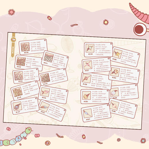 《五亿年前，我是条鱼？》超萌的原创古生物科普漫画 古生物萌萌纪 商品图4
