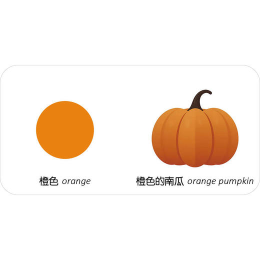 幼儿双语认知大礼盒（全24册） 商品图3