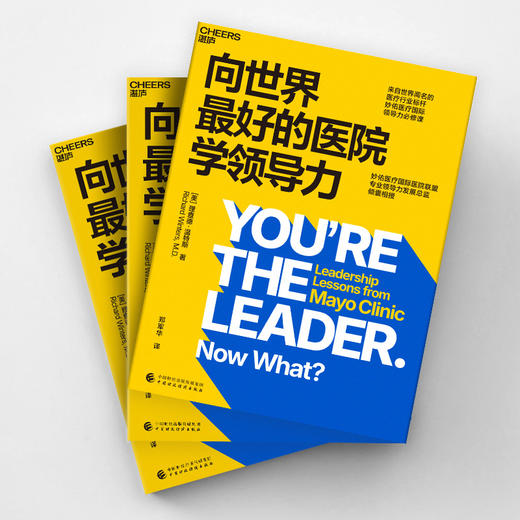 向世界最好的医院学领导力 医疗从业者、医院高管必看书 商品图3