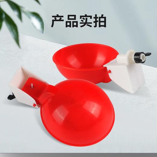 华畜鸡用饮水器养鸭鹅用乳头式钢球连体饮水器喂鸡喝水神器 商品图3