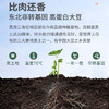 豆叔黄豆笋1斤装 四川开江豆笋手工腐竹豆皮豆筋棍豆棒无添加非转基因 /粮油调味 /南北干货 /干菜类 商品缩略图4