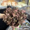 【茶饮精选】整株金线莲 秋冬必备 神奇金草 性平味甘 淡淡的草本香 容易感冒的季节太适合 商品缩略图4