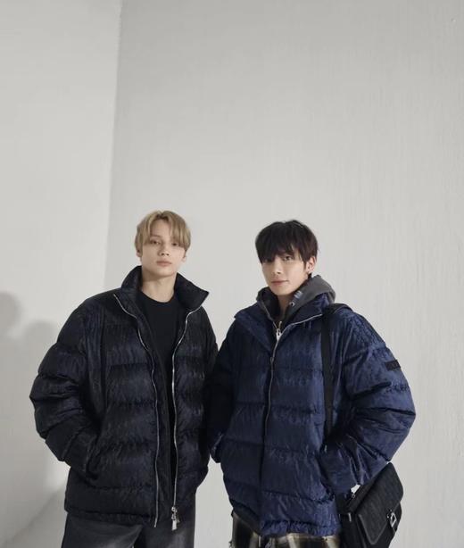 D家 经典暗纹老花羽绒服（JN） 商品图2