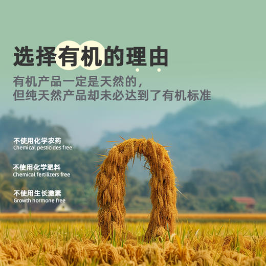 金奖真有机: 南粳46有机大米 · 获奖米种 独立包装 润白晶莹 色泽鲜亮 （河北/内蒙古发货） 商品图3