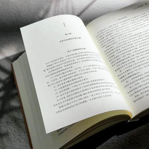 汉字学综论 詹鄞鑫 汉字学研究 汉字起源 现代汉语应用 商品图10