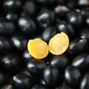 燕之坊 黑豆 405g（优选五谷杂粮 豆浆原料） /粮油调味 /杂粮 /杂豆类 商品图0