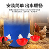 华畜鸡用饮水器养鸭鹅用乳头式钢球连体饮水器喂鸡喝水神器 商品缩略图2