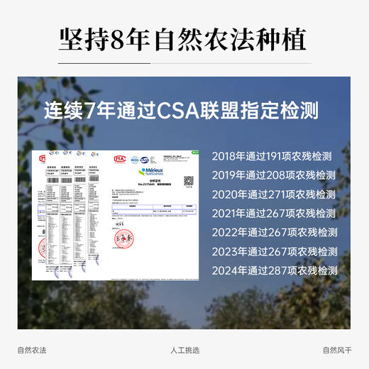 有机冬月吊干枣红枣特级新疆特产新枣子枸杞泡茶煲汤和田大枣干货 商品图3