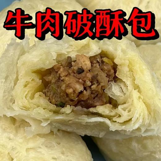 【包邮】招牌牛肉破酥包 （480g/袋，约6个) 商品图0