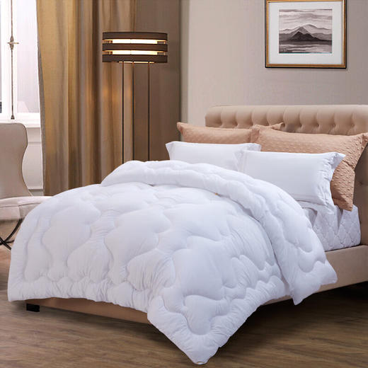 TY富安娜 冬厚被-逸享暖芯被二代【鲜享3.0】 商品图1