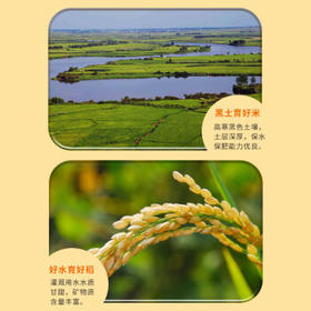 五米常香有机五常大米 原粮稻花香2号 5斤真空装 有机大米 当季新米 /粮油调味 /米 /稻花香米