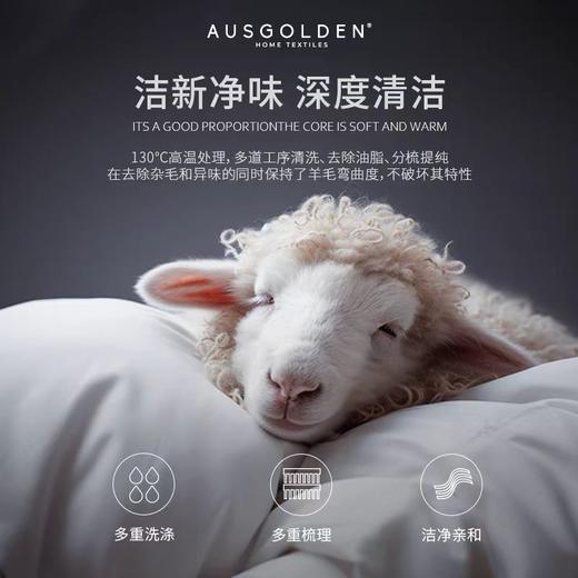 Ausgolden澳洲进口羊毛被100纯羊毛四季通用单人被子冬天加厚保暖 商品图1