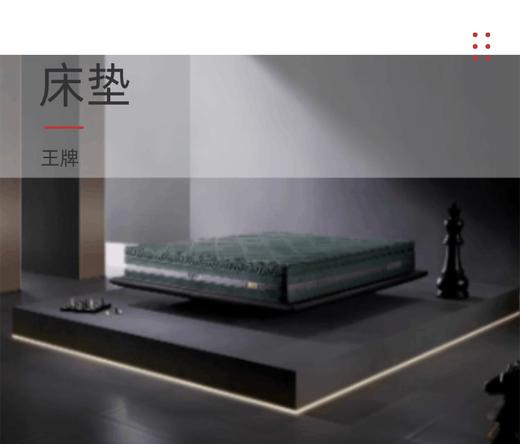 床垫/90-M0188A 商品图0