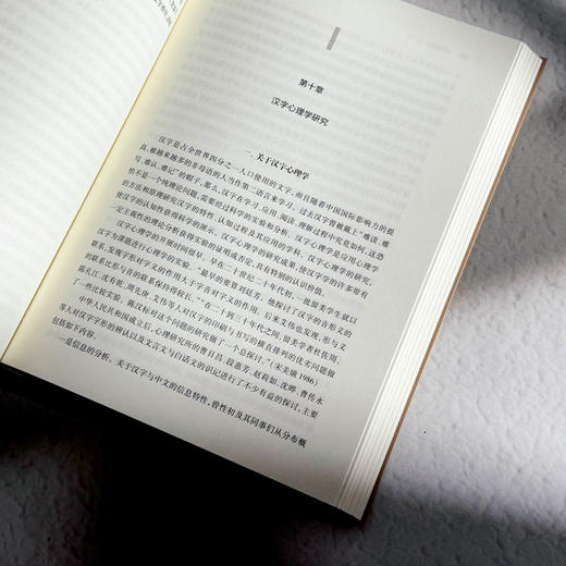 汉字学综论 詹鄞鑫 汉字学研究 汉字起源 现代汉语应用 商品图11