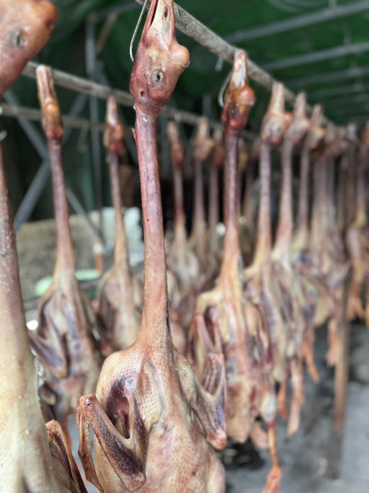 ＃第五年＃，爆赞的风土鹅和腊味土风鸡，家传配方腌好晒足晒透，喷香紧实，很美味！ 商品图5