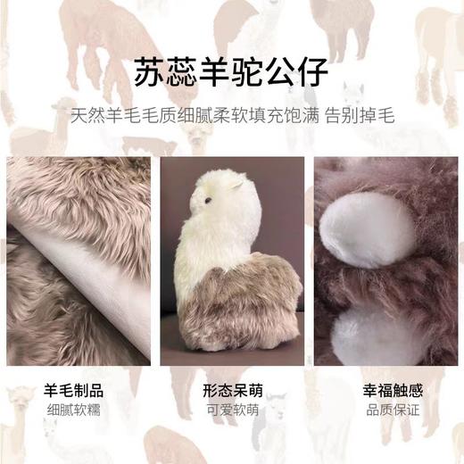 AusGolden长毛羊驼公仔玩偶羊毛情侣一对可爱儿童生日圣诞节礼物 商品图1