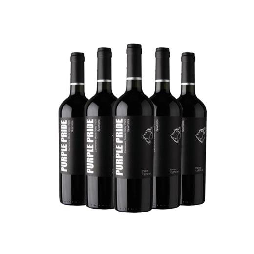 智利紫傲精选卡曼尼干红葡萄酒 商品图0