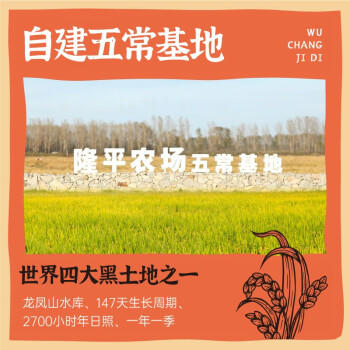 隆平芯米五常大米10斤 稻花香2号 当季新米 东北大米 粳米 25年现磨鲜装 /粮油调味 /米 /稻花香米 商品图1