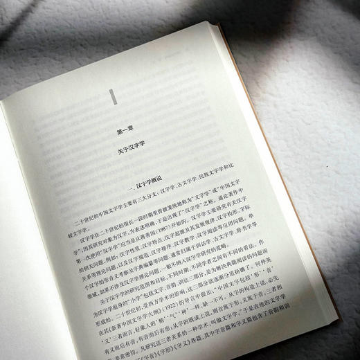 汉字学综论 詹鄞鑫 汉字学研究 汉字起源 现代汉语应用 商品图8