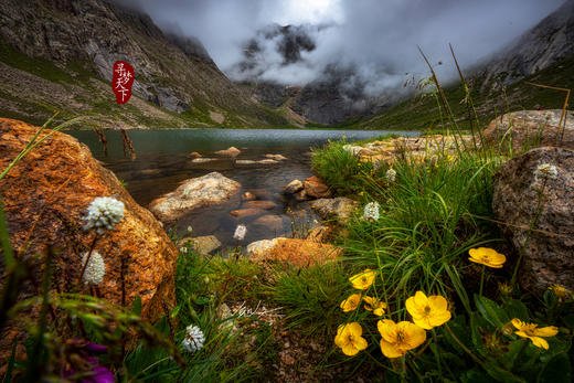 5月29日【四川】俄木塘花海•扎尕那•莲宝叶则•神座8天摄影团 商品图0